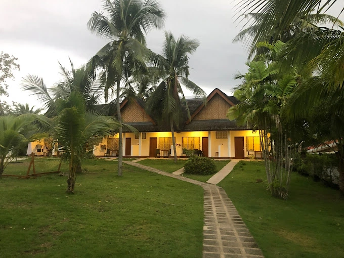 Is Divers Lodge Moalboal Really Worth the Dive? An Honest Review