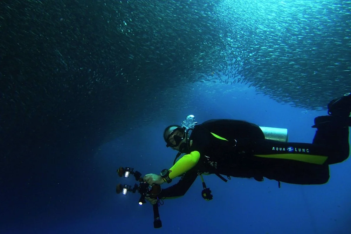 Explore the Famous Sardine Run with Savedra Dive Center, Cebu