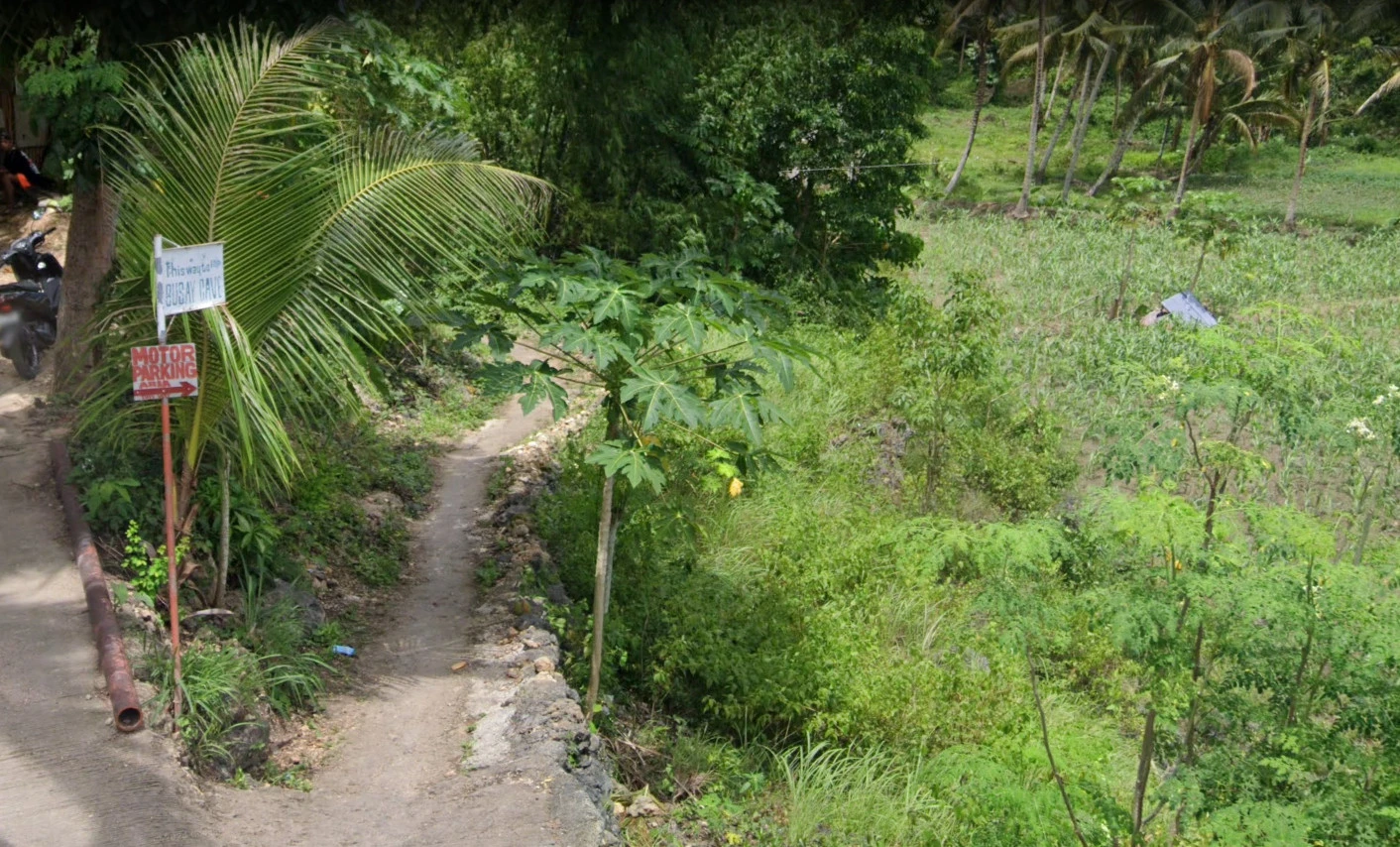 Why Busay Cave is a Must-Visit in Moalboal