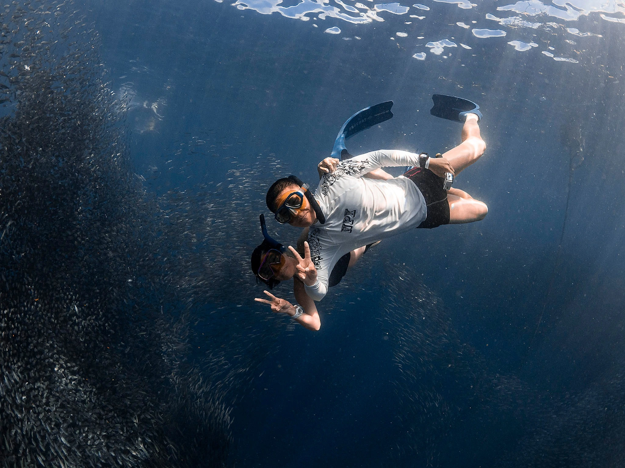 Freediving Planet Moalboal: A Deep Dive into Training and Techniques