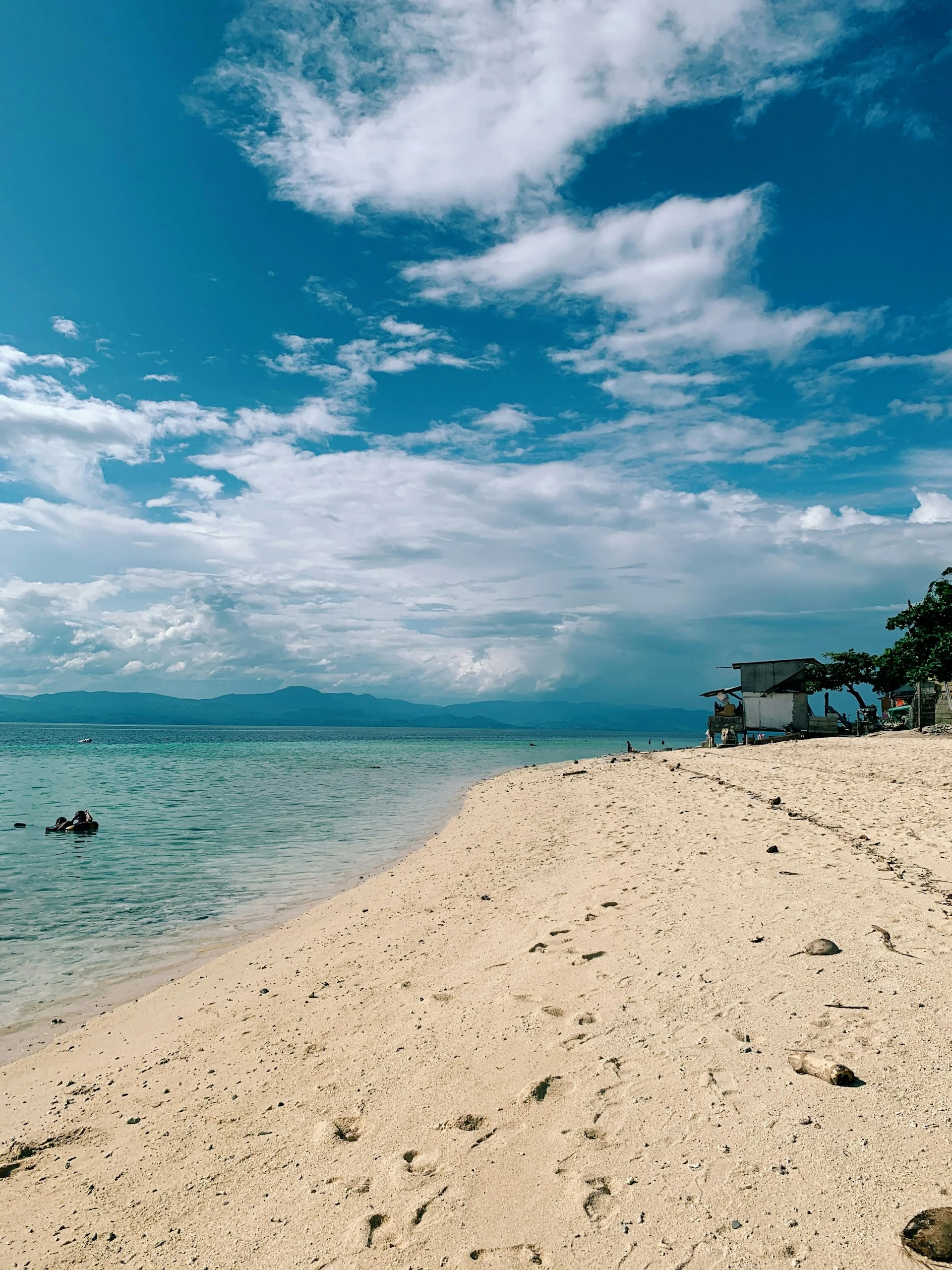 Comprehensive Guide to Diving in Moalboal, Cebu